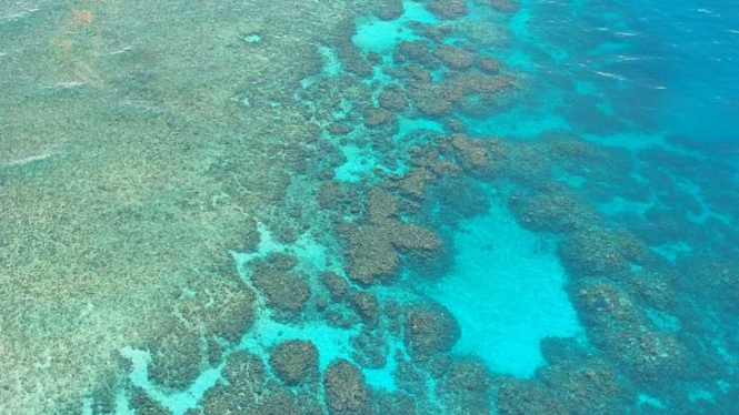 Great Barrier Reef di Australia