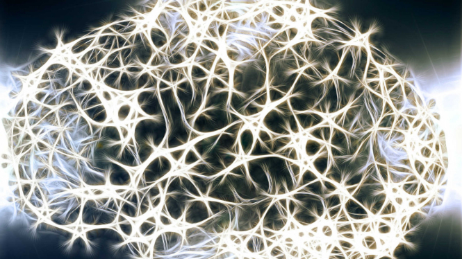 Ilustrasi saraf otak
