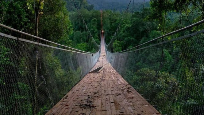 Jembatan Gantung Situ Gunung Sukabumi yang Menakjubkan