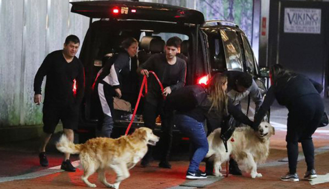Dua anjing kesayangan Alexis Sanchez dibawa masuk ke Lowry Hotel