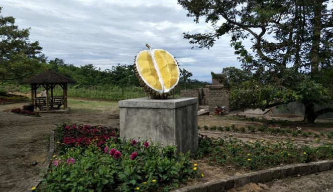 Kampung Durian di Kediri, Jawa Timur. 