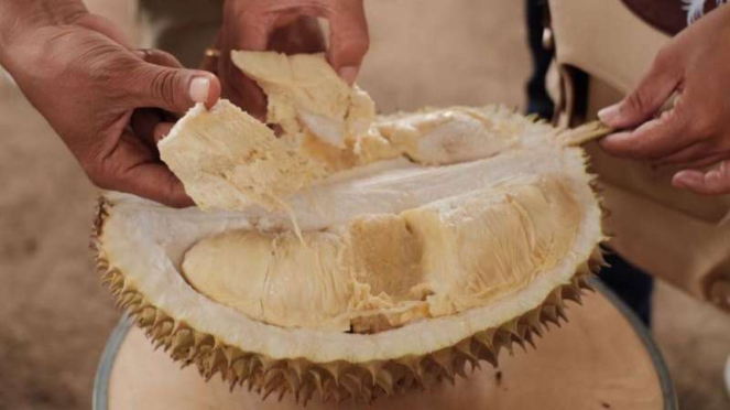 Durian Slumbung