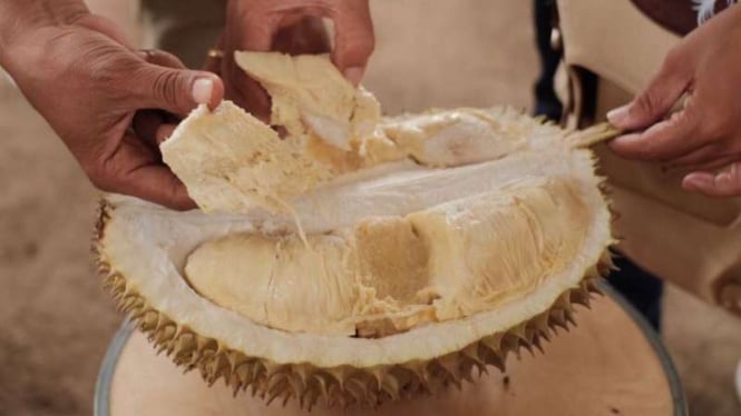 Durian Slumbung