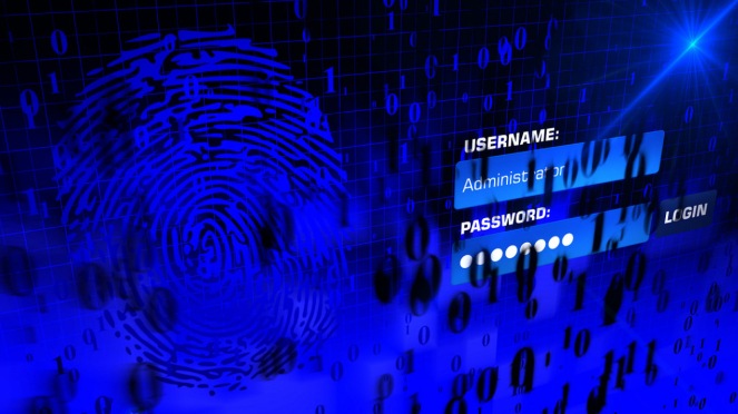 Ilutsrasi data pribadi dan password