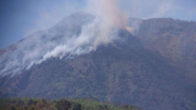 Kawasan hutan di puncak Gunung Api Talang di Kabupaten Solok, Sumatra Barat, yang terbakar pada Kamis 1 Februari 2018.
