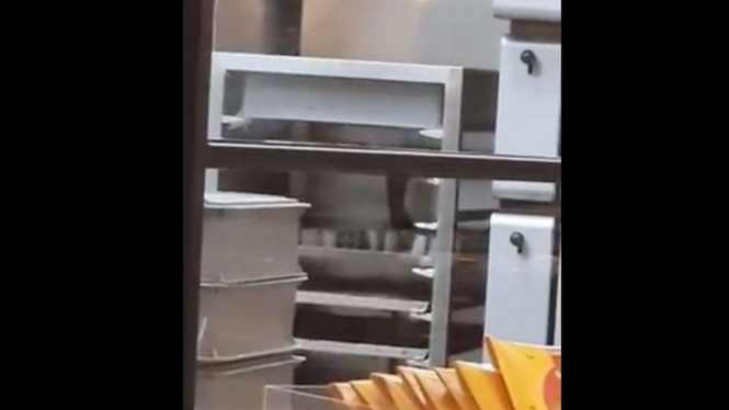 Tikus berkeliaran di toko roti BreadTalk