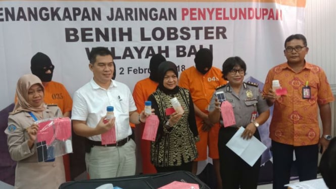 Penangkapan penyelundupan benih lobster 