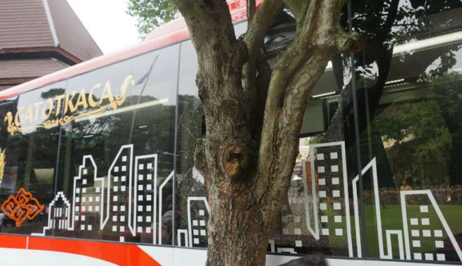 Bus Mewah yang Disopiri Wali Kota Solo Tabrak Pohon