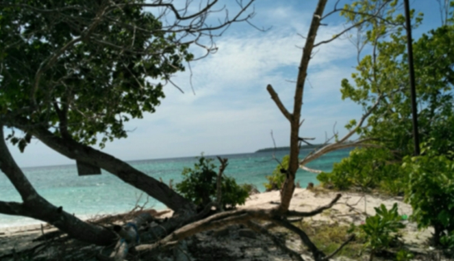 Pulau Adrenan Maluku Tenggara