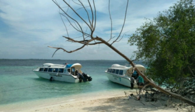 Pulau Adrenan Maluku Tenggara