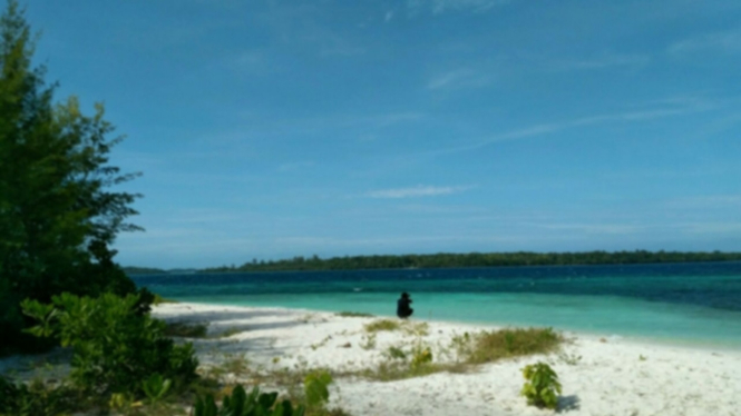 Pulau Adrenan Maluku Tenggara