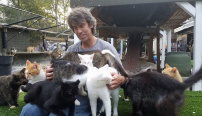 Chris Arsenault dan kucing-kucingnya