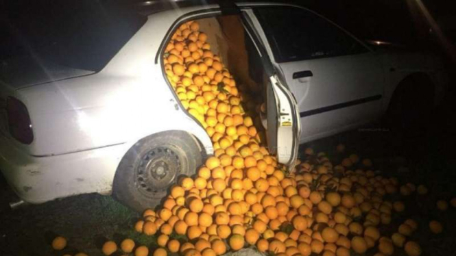 Suzuki Baleno yang mengangkut jeruk-jeruk curian.