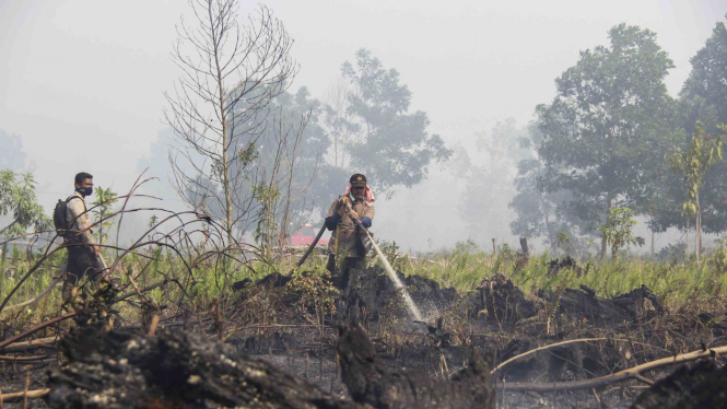 Kebakaran hutan gambut di Riau