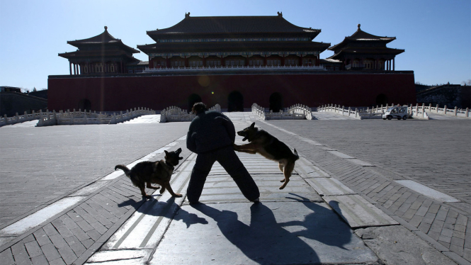 Anjing Penjaga Kota Terlarang di Beijing, China.