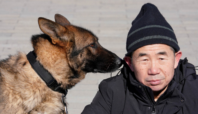 Anjing Penjaga Kota Terlarang di China