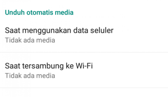 Cara hemat kuota di WhatsApp