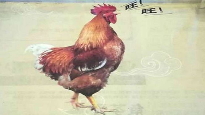 Malaysia minta maaf terkait iklan Tahun Baru Imlek yang memuat gambar ayam