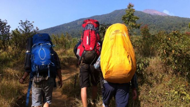 Mendaki Gunung.