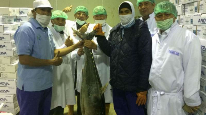 Ikan tuna untuk diekspor ke Jepang dan AS