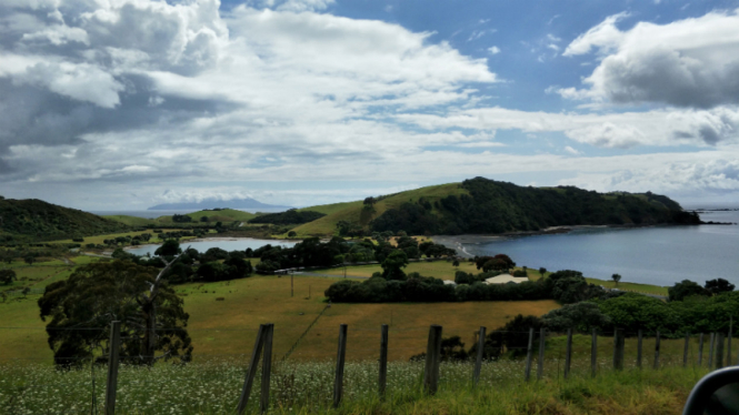 Tawharanui Regional Park, Selandia Baru.