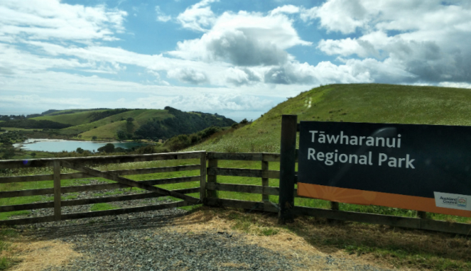 Tawharanui Regional Park, Selandia Baru.