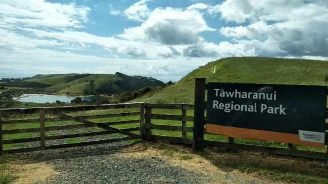 Tawharanui Regional Park, Selandia Baru.