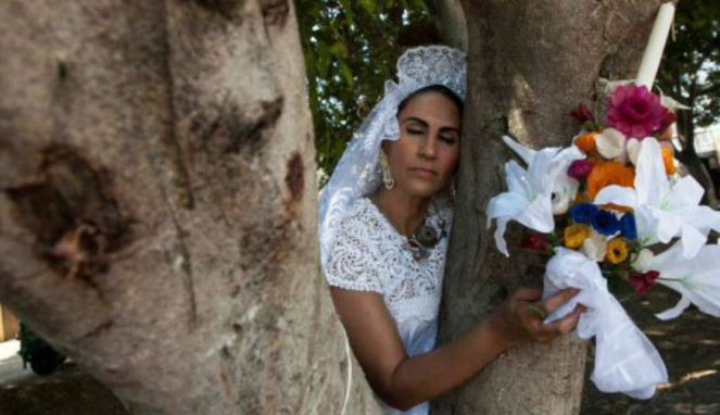 Sejumlah wanita di Meksiko menikah dengan pohon.