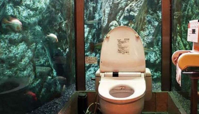 Toilet Aquarium