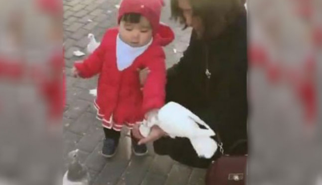 Gadis kecil memberi makan burung.