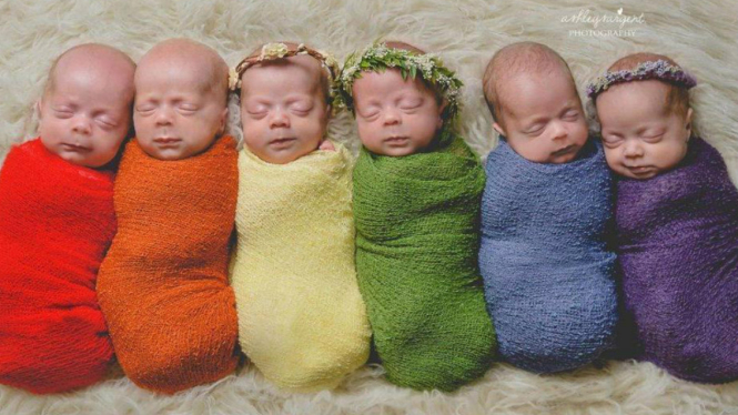Bayi kembar enam