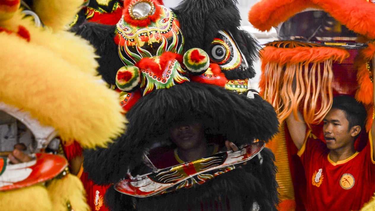 The Facts about Chinese Lion Dance, Actually No Lions in China