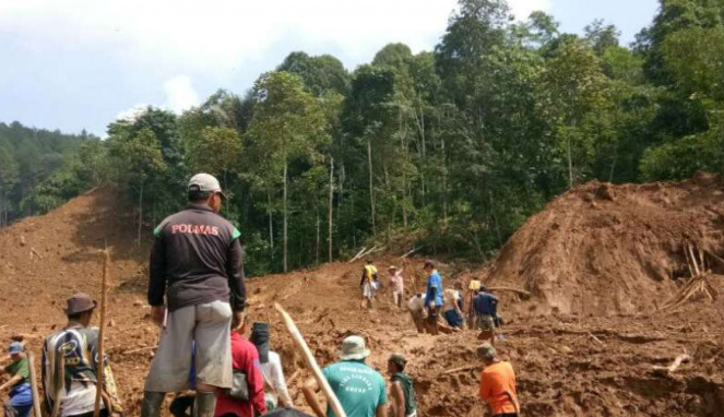 Proses pencarian korban longsor di Brebes, Jawa Tengah.