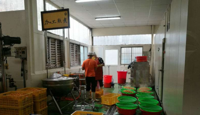 Pabrik Kumquat di Chiayi, Taiwan