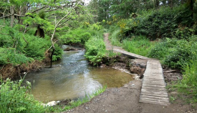 Sungai air panas di Rotorua, Selandia Baru.