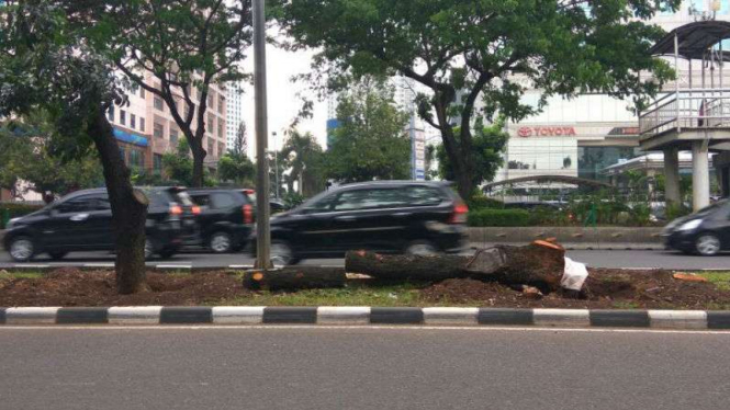 Pohon ditebang di dekat Halte Dukuh Atas, Jakarta