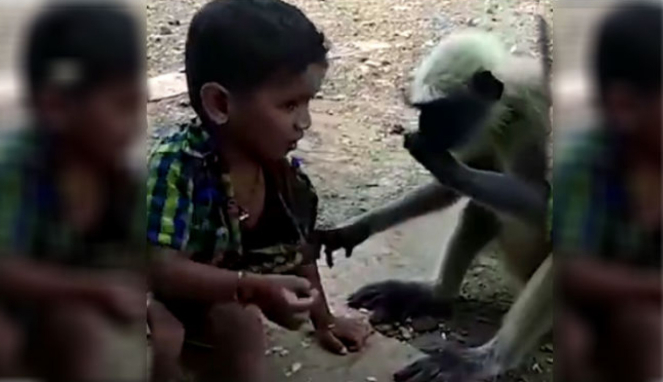 Anak bersahabat dengan monyet.