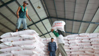 Jaga Musim Tanam, Stok Pupuk di Jatim Dipastikan Aman