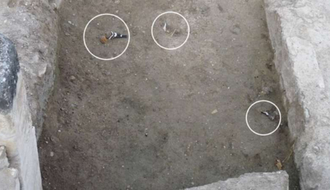 Tiga ekor burung tewas di Gerbang Neraka Plutonium, Hierapolis, Turki.