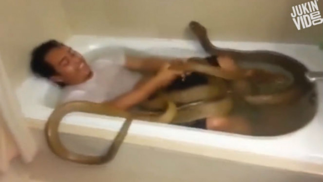 Pria mandi bersama ular.
