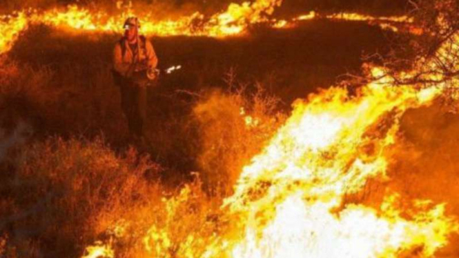 Kebakaran hutan makan korban orang-orang yang trekking