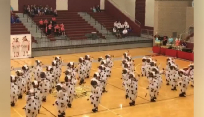 Puluhan balita menari menggunakan kostum sapi.