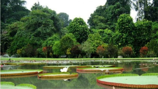 Asyiknya Berwisata di Kebun Raya Bogor.