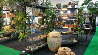 Berburu Keramik Berkualitas di Pameran Keramika 2018