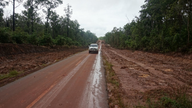 Jalur Trans Papua.