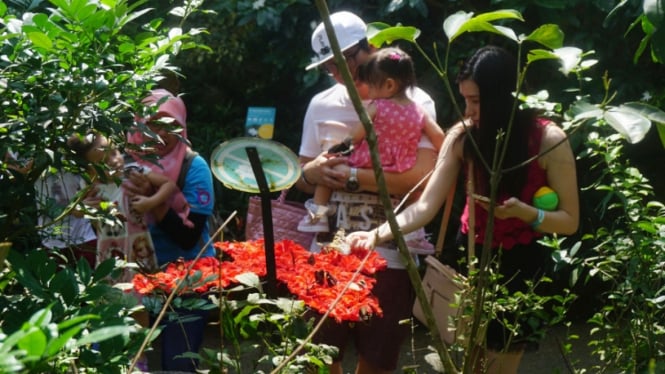 Entopia atau Penang Butterfly Farm