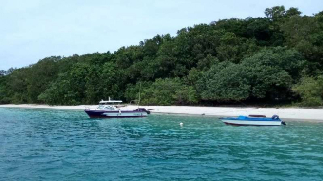 Pulau Handeleum, habitat alami hidup badak Bercula Satu.