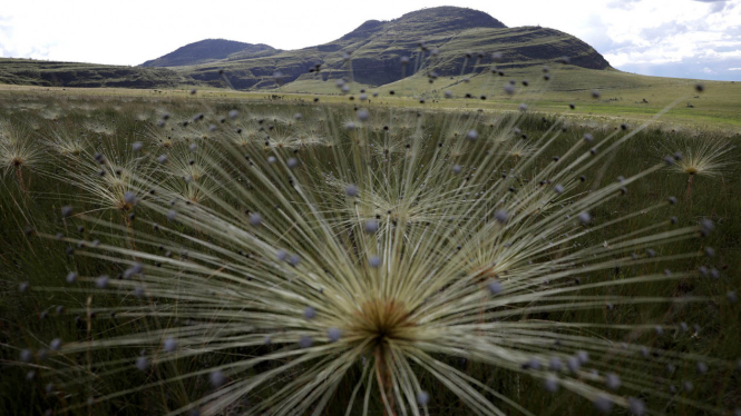 Indahnya Taman Nasional Chapada Dos Veadeiros Di Brasil