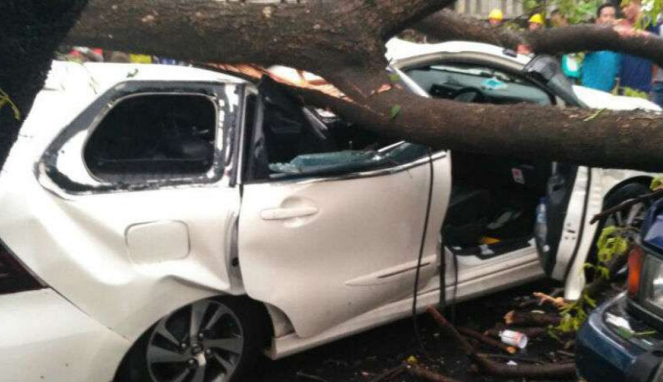 Kejadian pohon tumbang di kawasan Jatinegara Kaum, Jakarta Timur.