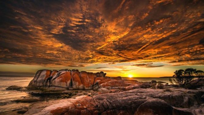 Pemandangan matahari terbit di Tasmania